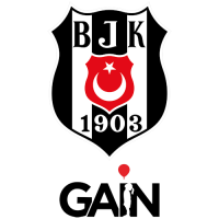 Besiktas Fibabanka Istanbul logo