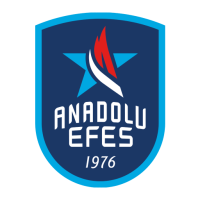 Anadolu Efes Istanbul logo