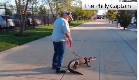 Απίστευτο: Οπαδός προσπάθησε να μπει στο γήπεδο παρέα με τον αλιγάτορά του