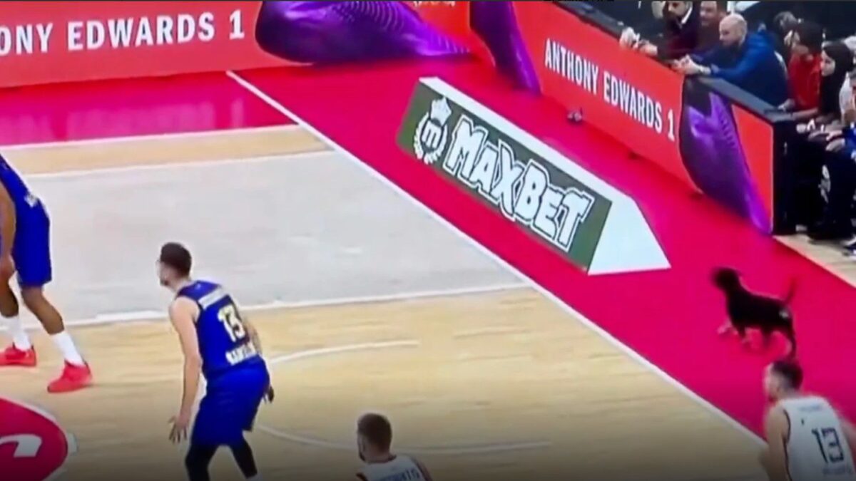 Απίθανη σκηνή στην Belgrade Arena: Σκυλάκι έφτασε μέχρι την baseline κατά την διάρκεια του αγώνα Ερυθρός Αστέρας – Μπαρτσελόνα (vid)