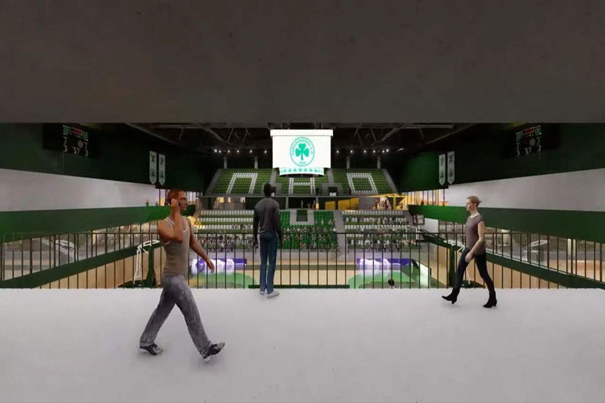 Ερασιτέχνης Παναθηναϊκός – Βοτανικός: Τι ισχύει με εκσκαφές, οικοδομική άδεια, κόστος και έναρξη εργασιών