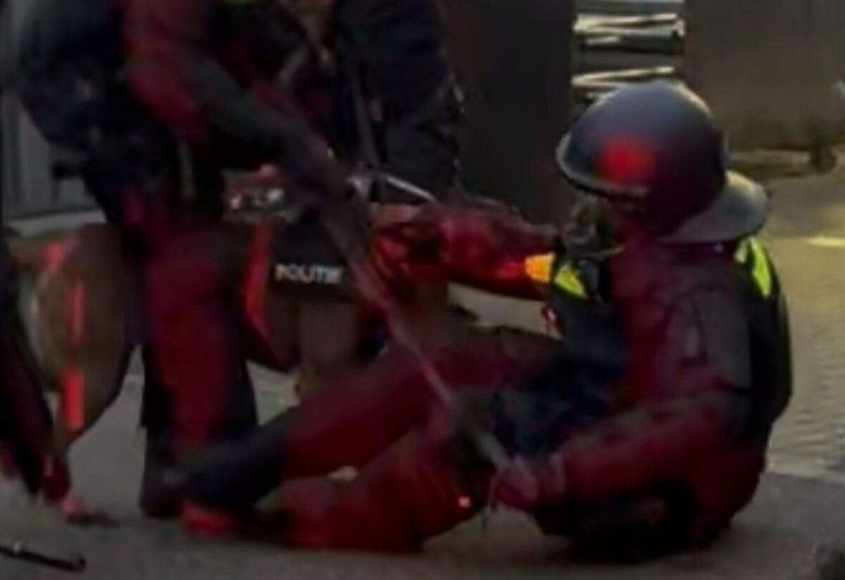 Απίθανο περιστατικό: Αστυνομικό σκυλί δάγκωσε αστυνόμο στον αγώνα Χέρακλες – Τβέντε