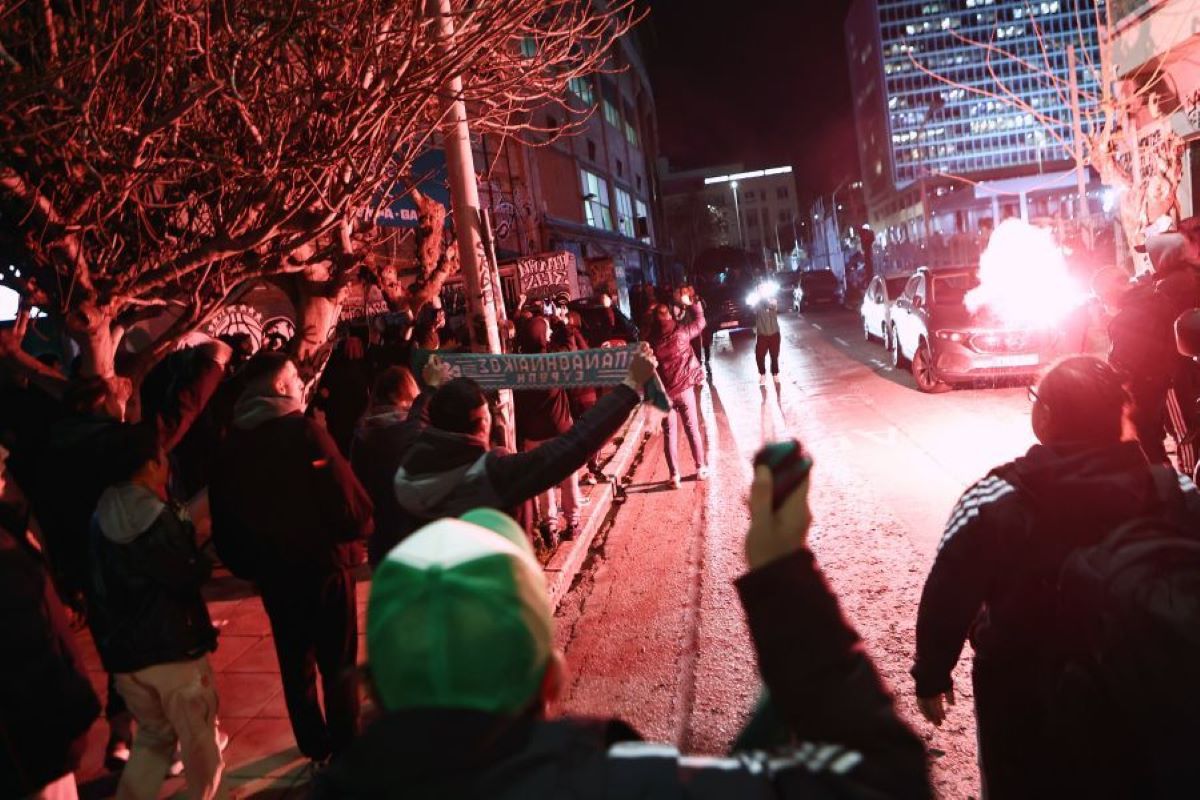 Πράσινη τρέλα για την πρόκριση στον τελικό του CEV Challenge Cup! (pics)