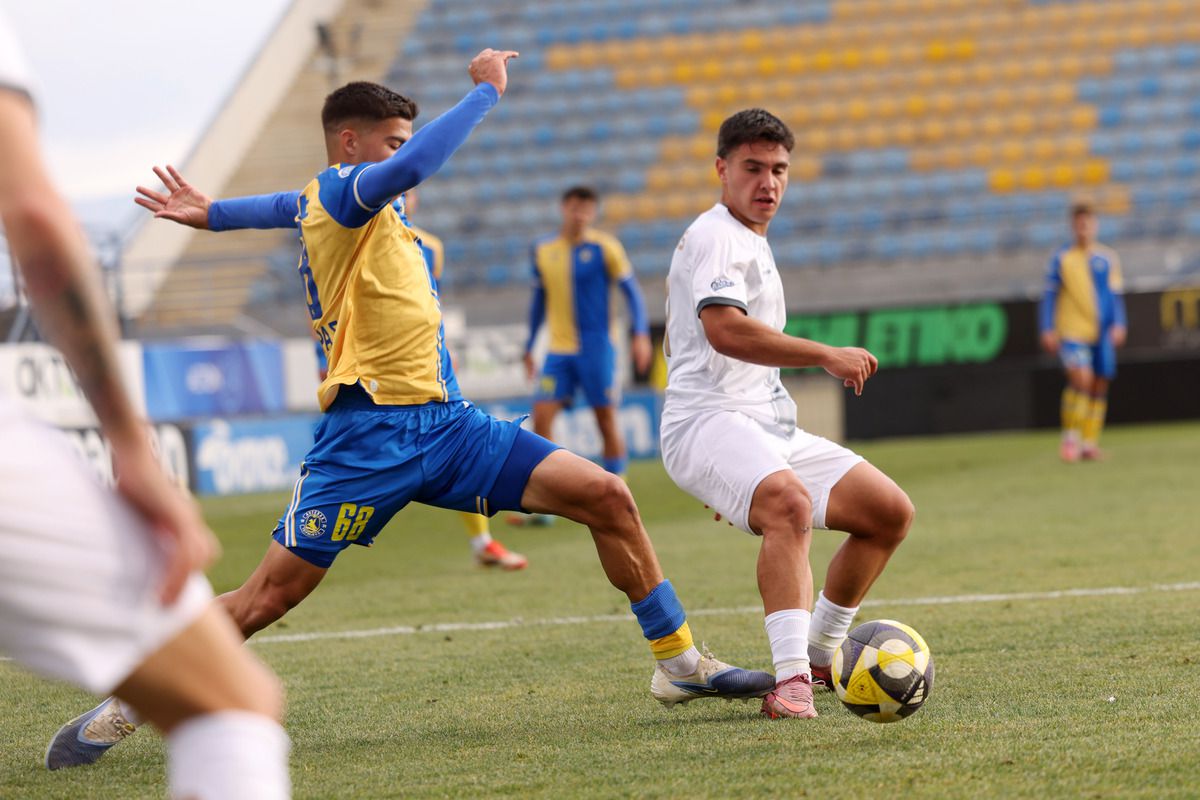 Οι παίκτες στο Αστέρας B - Αναγέννηση
