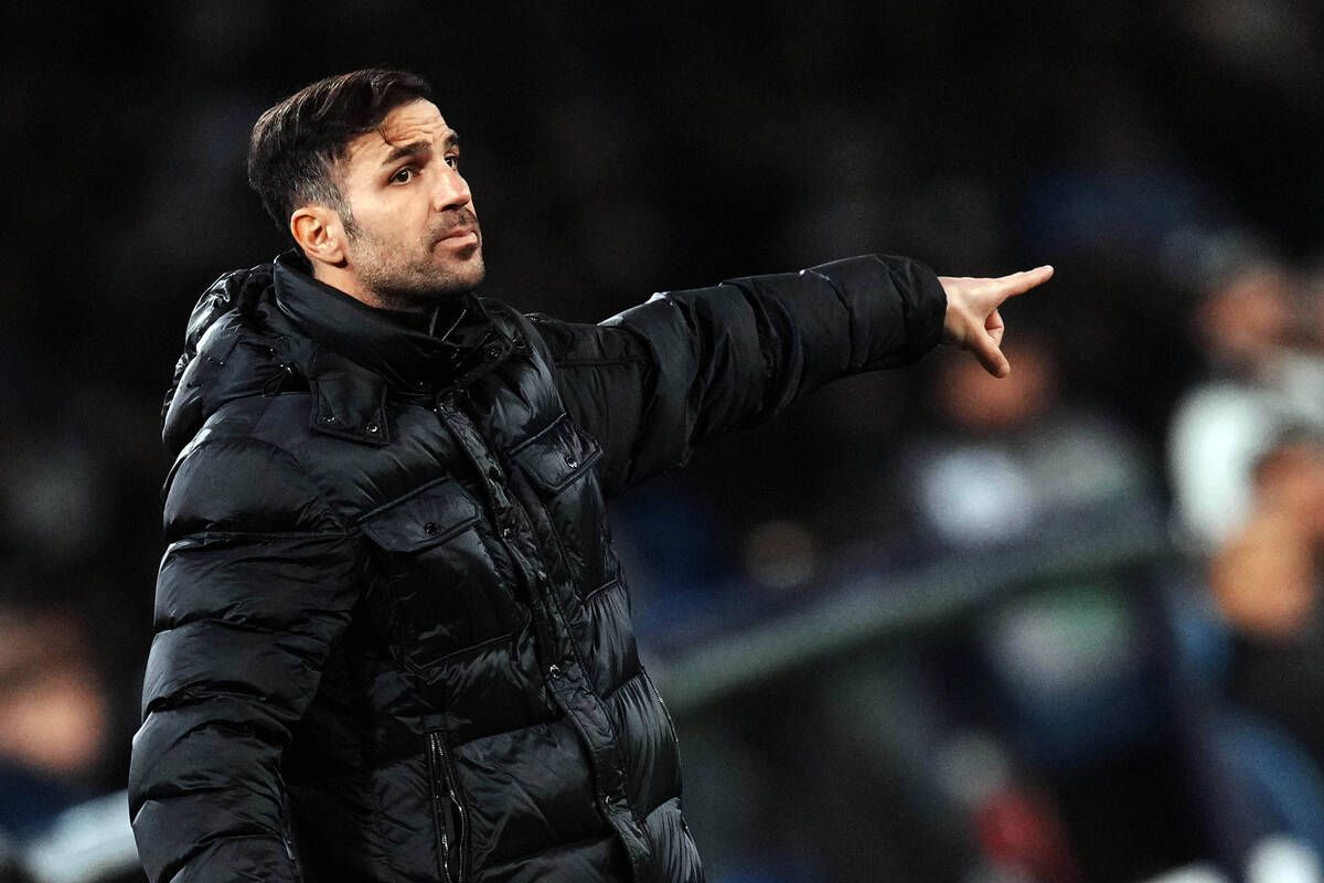 Σεσκ Φάμπρεγας