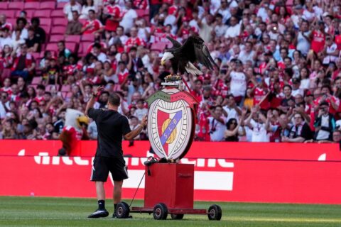 Συνελήφθη συνεργάτης της Μπενφίκα για διακίνηση ναρκωτικών